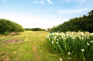 Photo 9- click for photo gallery